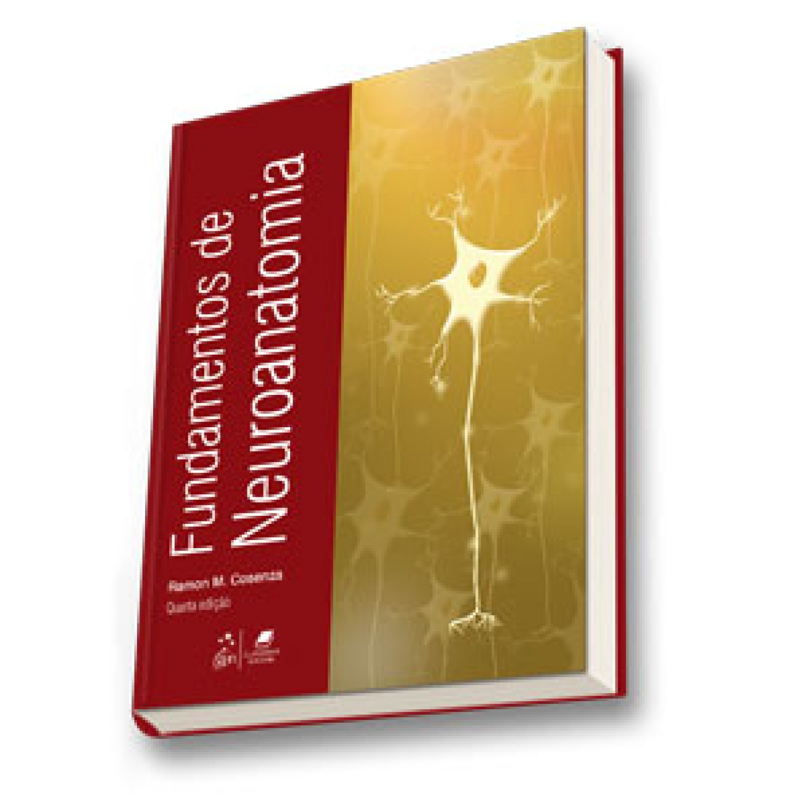 Fundamentos De Neuroanatomia