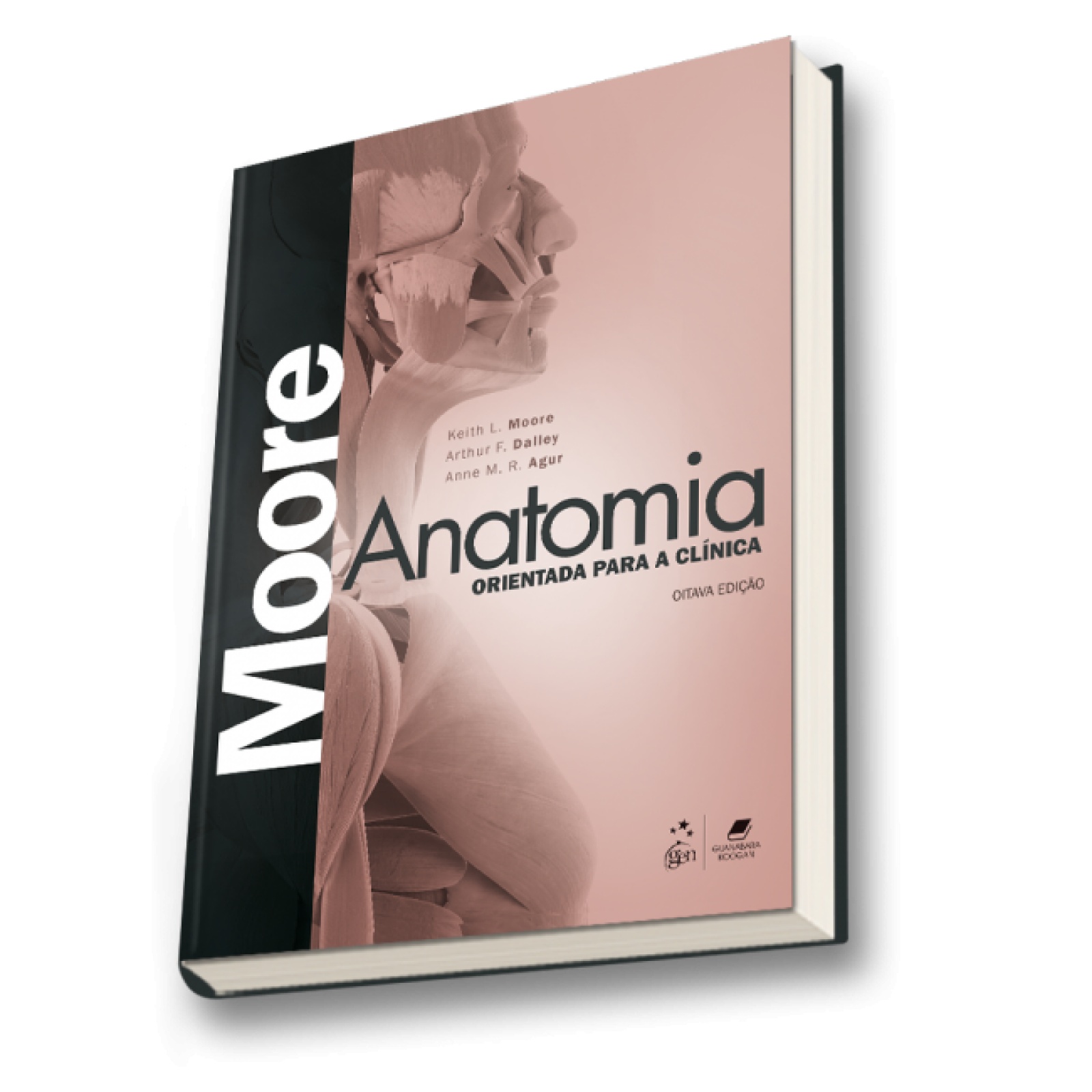 Anatomia Orientada Para A Clínica