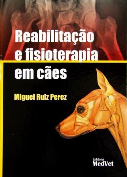 Reabilitação E Fisioterapia Em Cães