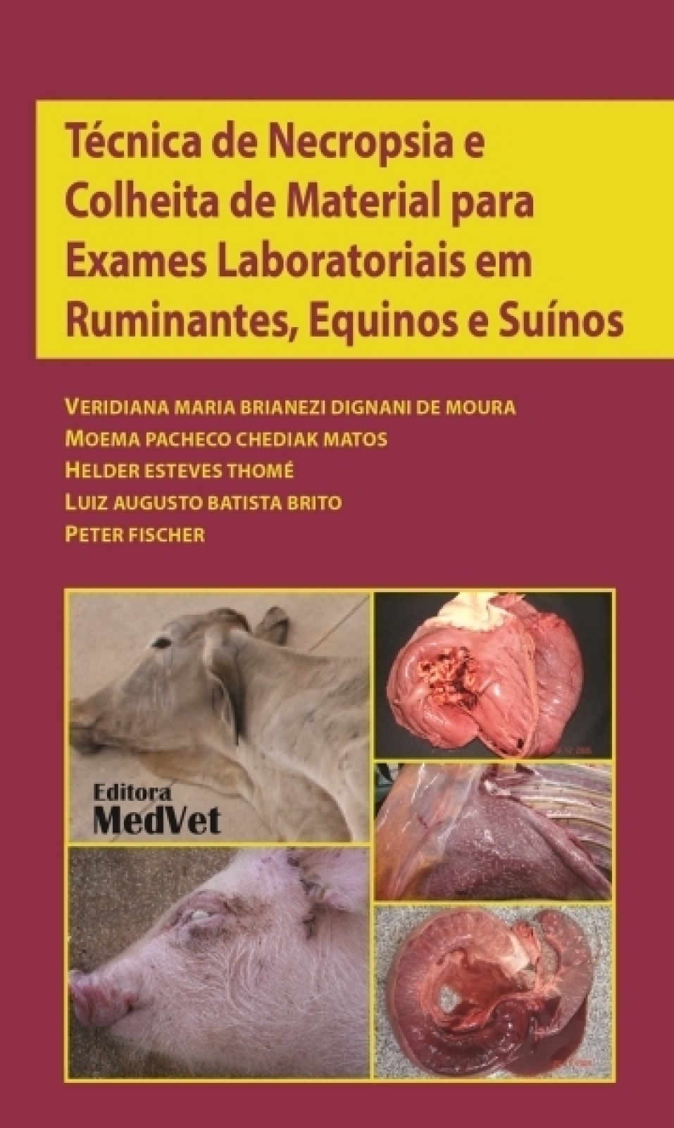 Técnica De Necropsia E Colheita De Material Para Exames Lab. Em Ruminantes, Equinos E Suinos