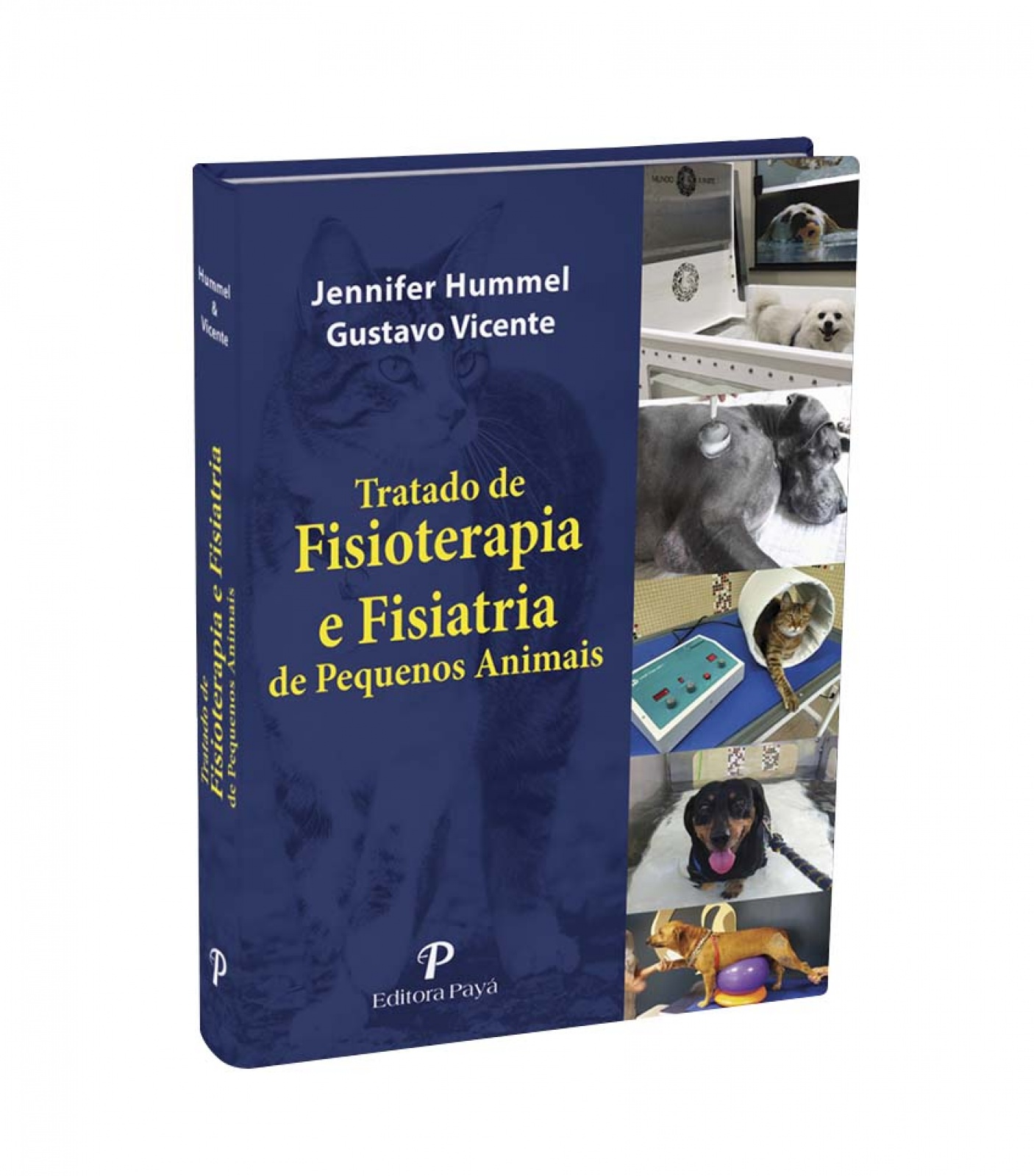 Tratado De Fisioterapia E Fisiatria De Pequenos Animais – 1ª Edição