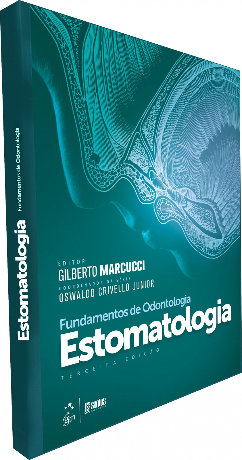 Fundamentos De Odontologia Estomatologia