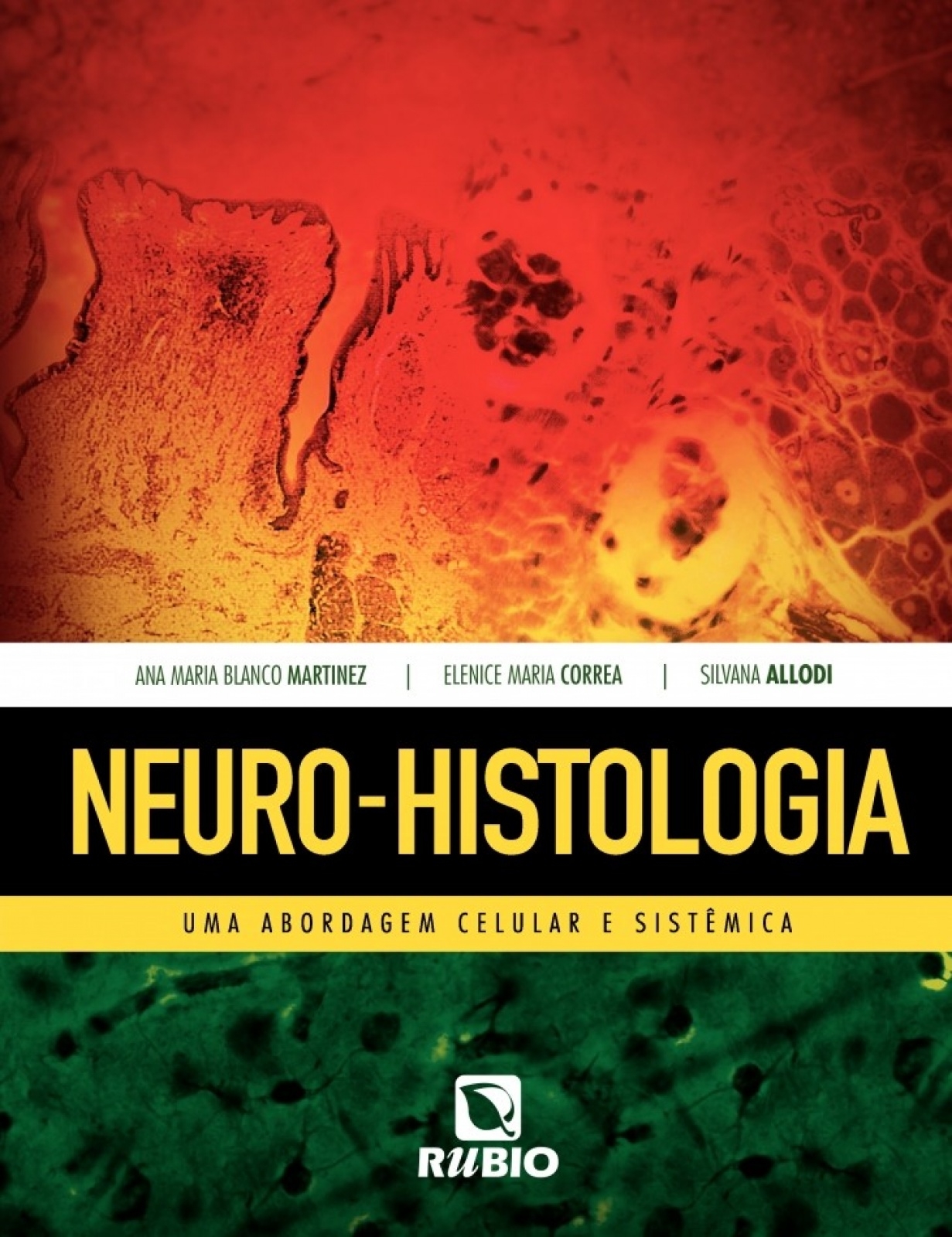 O Sistema Nervoso Humano: Um Enfoque Psico-Funcional