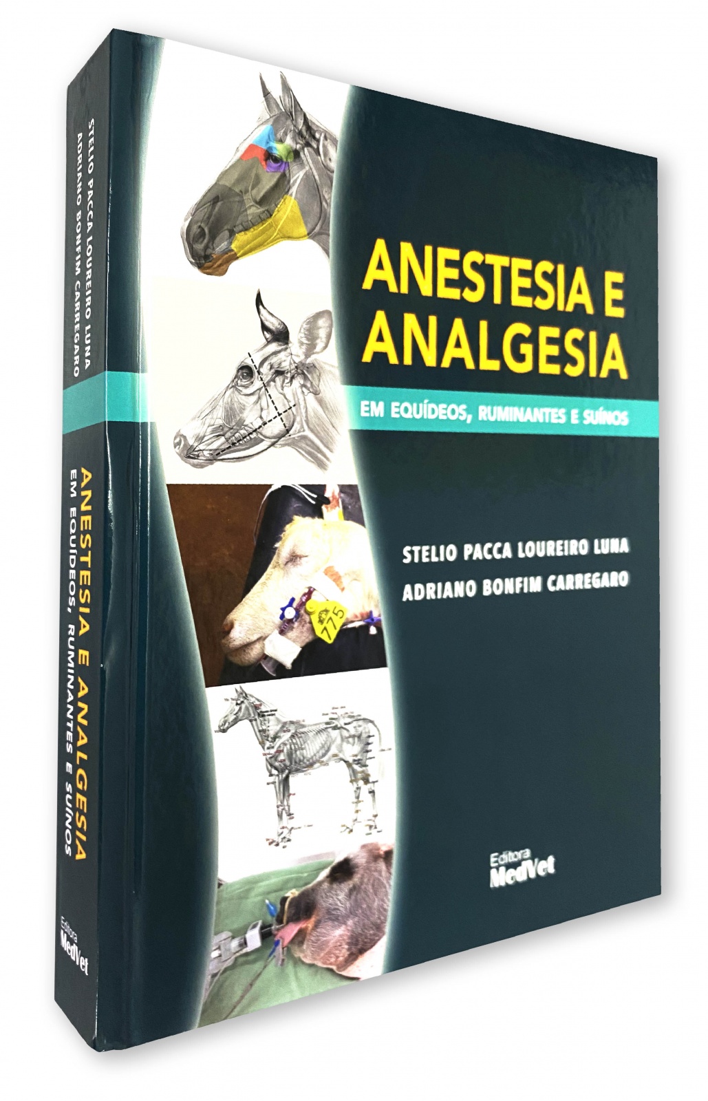 Anestesia E Analgesia Em Equídeos, Ruminantes E Suínos