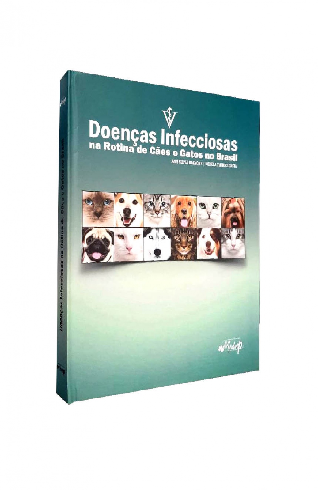 Doenças Infecciosas Na Rotina De Cães E Gatos No Brasil