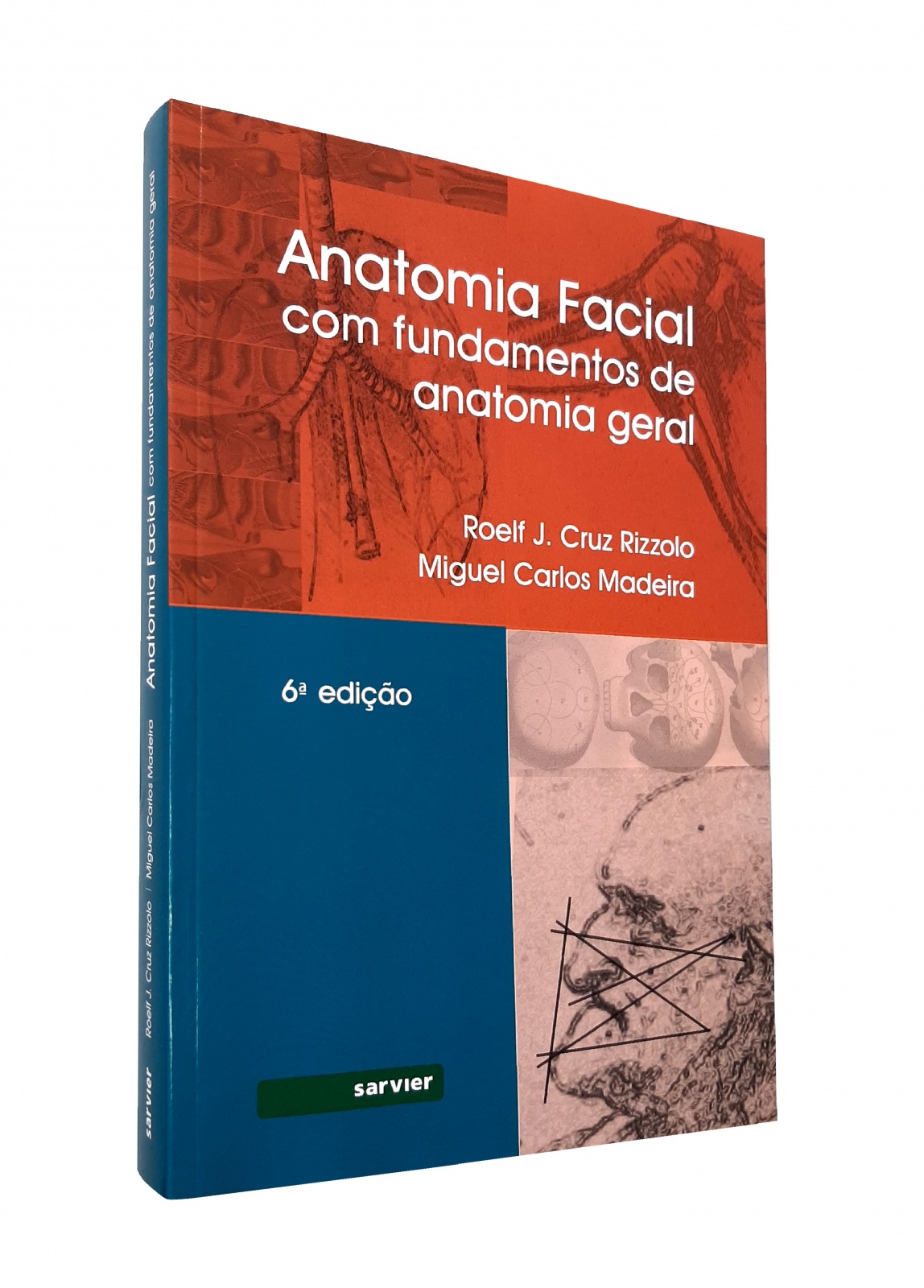 Fundamentos de Anatomia Humana: Noções Básicas do Rosto