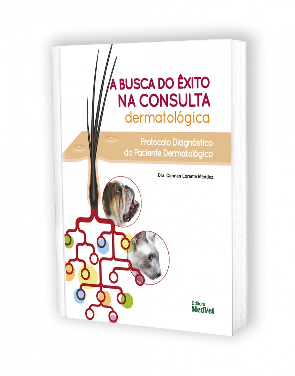 A Busca Do Êxito Na Consulta Dermatológica - Protocolo Diagnóstico Do Paciente Dermatológico