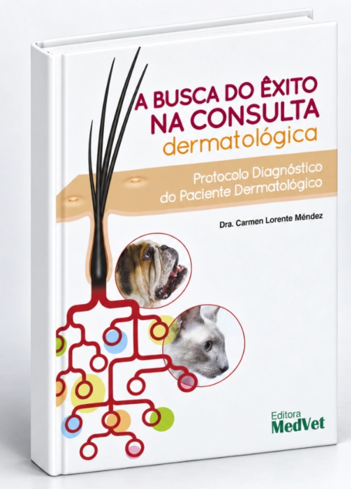 A Busca Do Êxito Na Consulta Dermatológica - Protocolo Diagnóstico Do Paciente Dermatológico