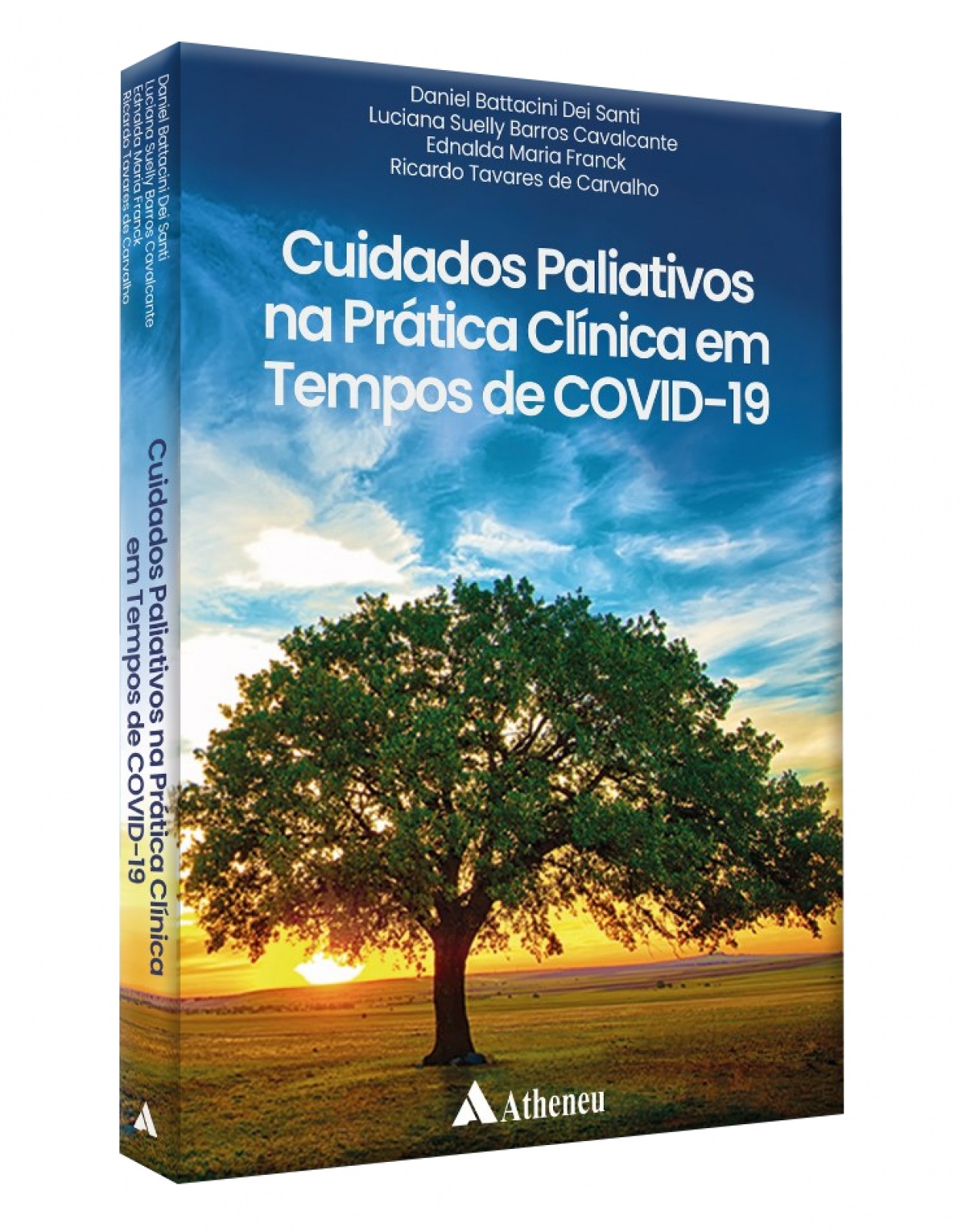Cuidados Paliativos Na Prática Clínica Em Tempos De Covid-19