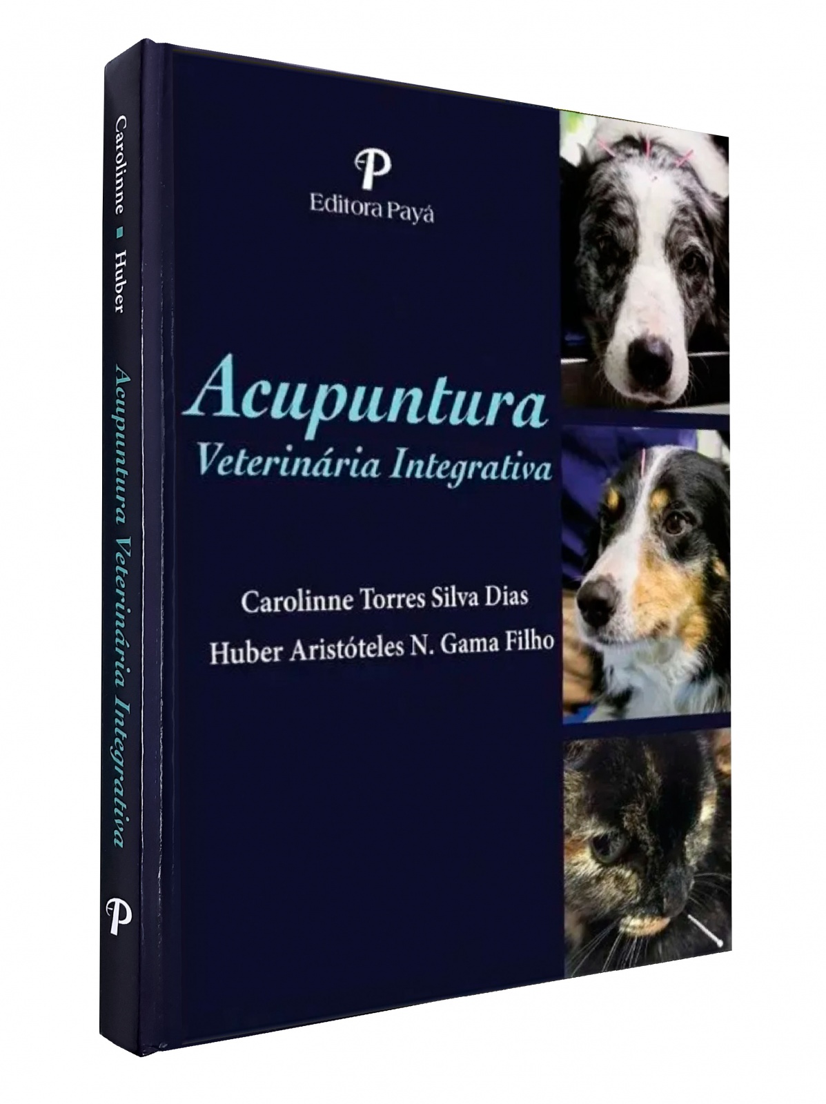 Acupuntura Veterinária Integrativa