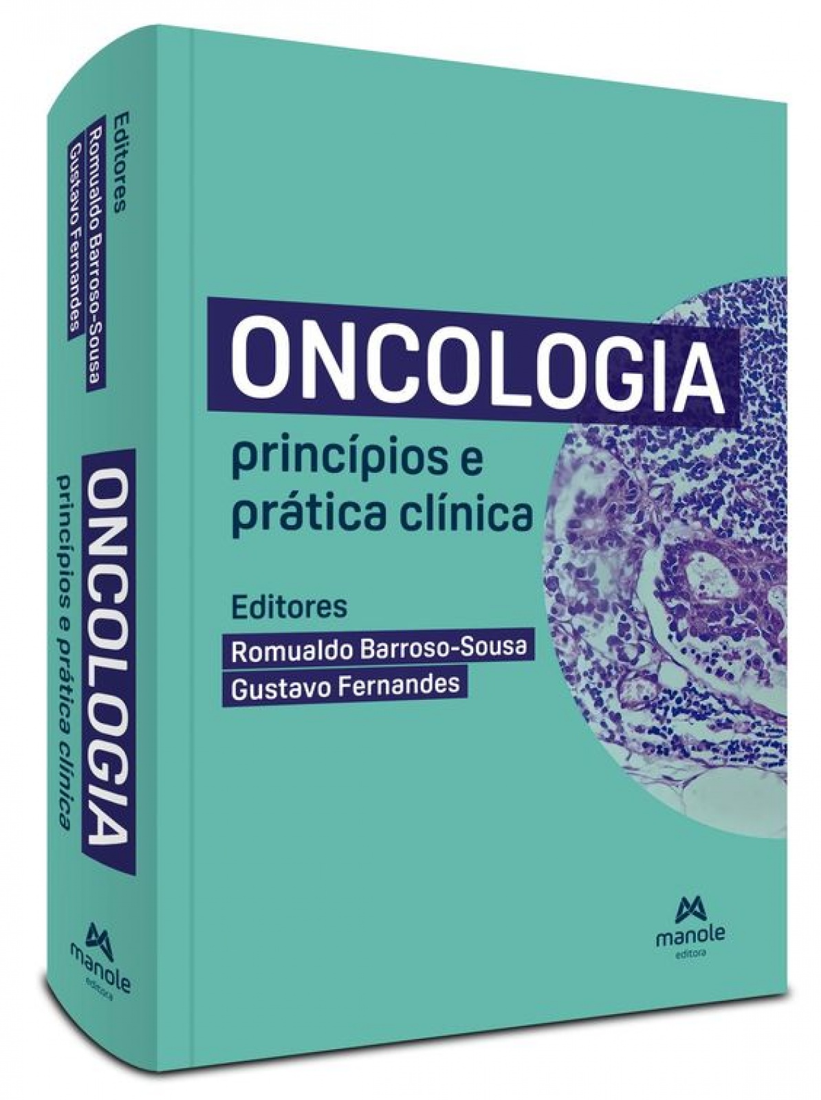 Oncologia - Princípios E Prática Clínica