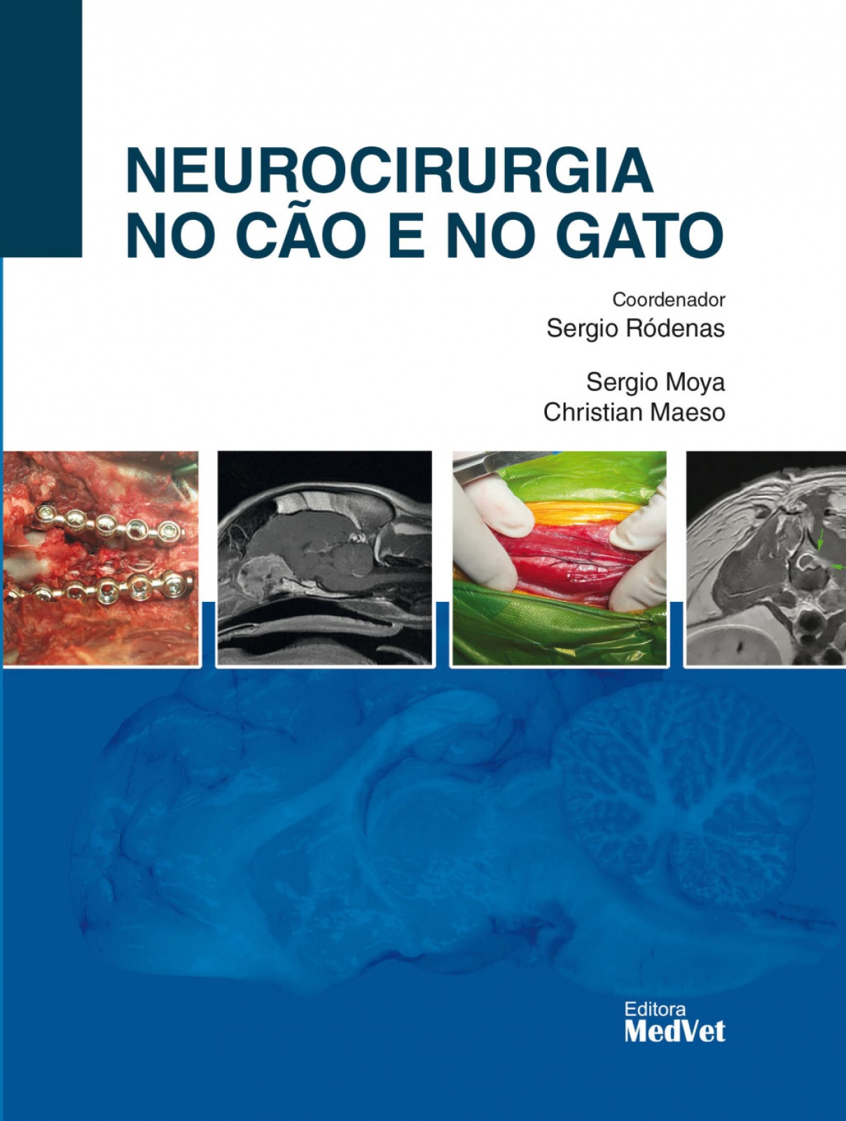 Neurocirurgia No Cão E No Gato