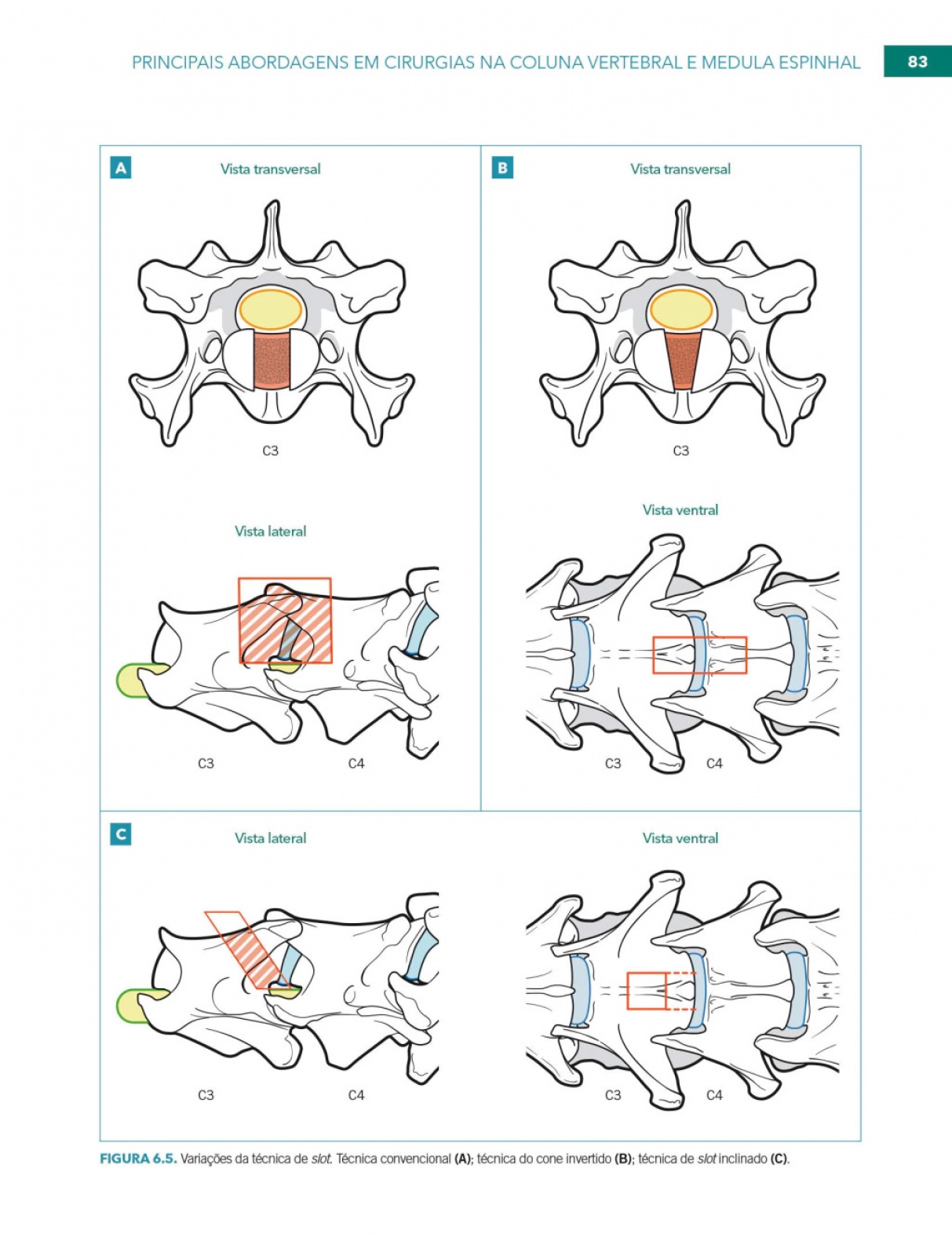 Neurocirurgia No Cão E No Gato