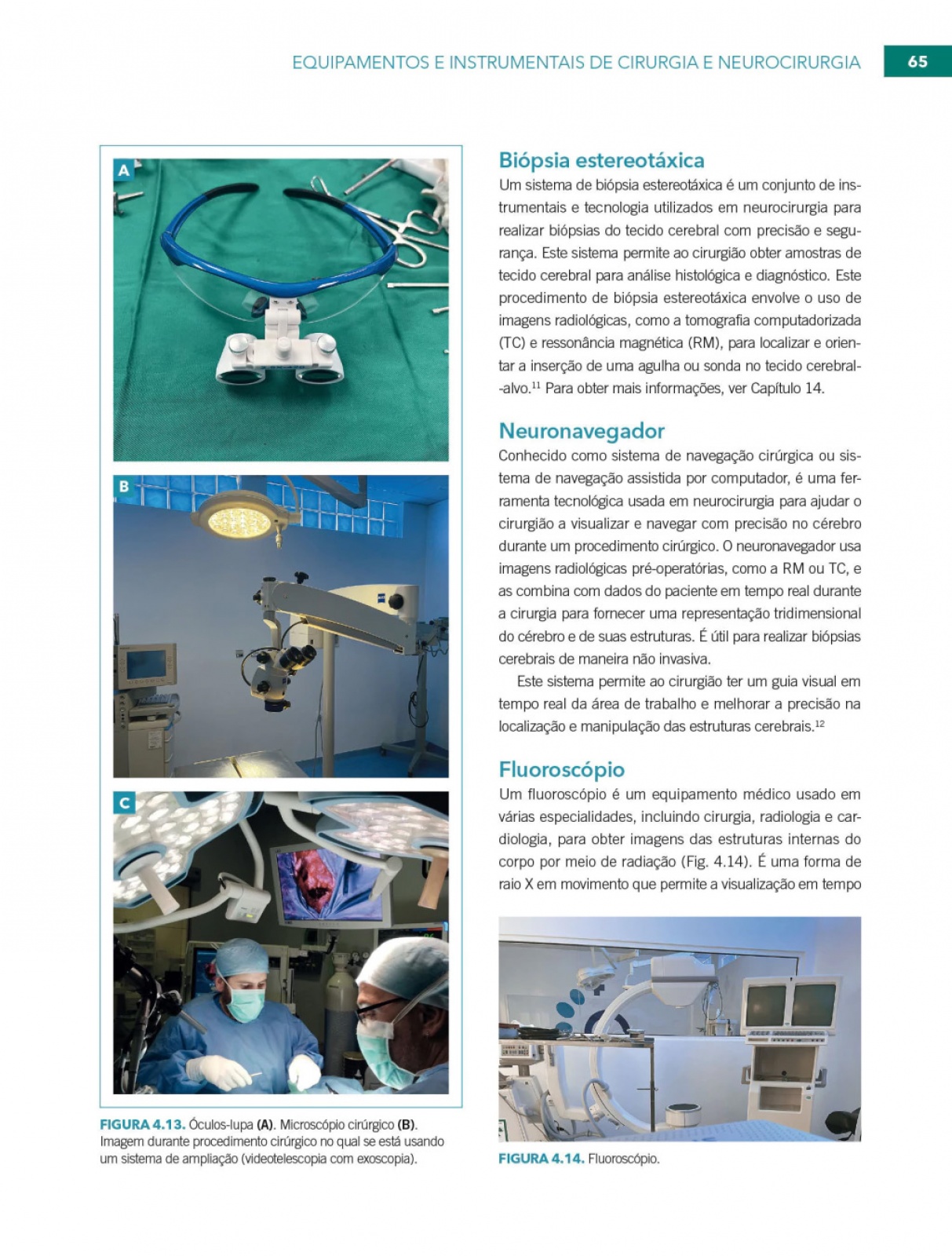 Neurocirurgia No Cão E No Gato