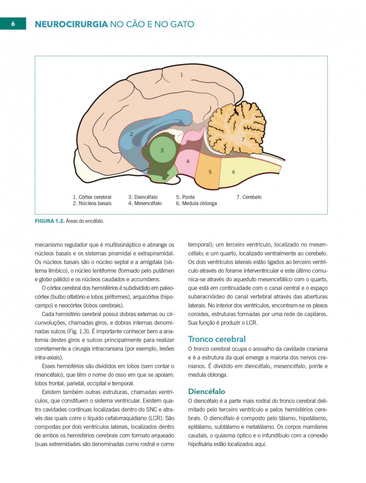 Neurocirurgia No Cão E No Gato
