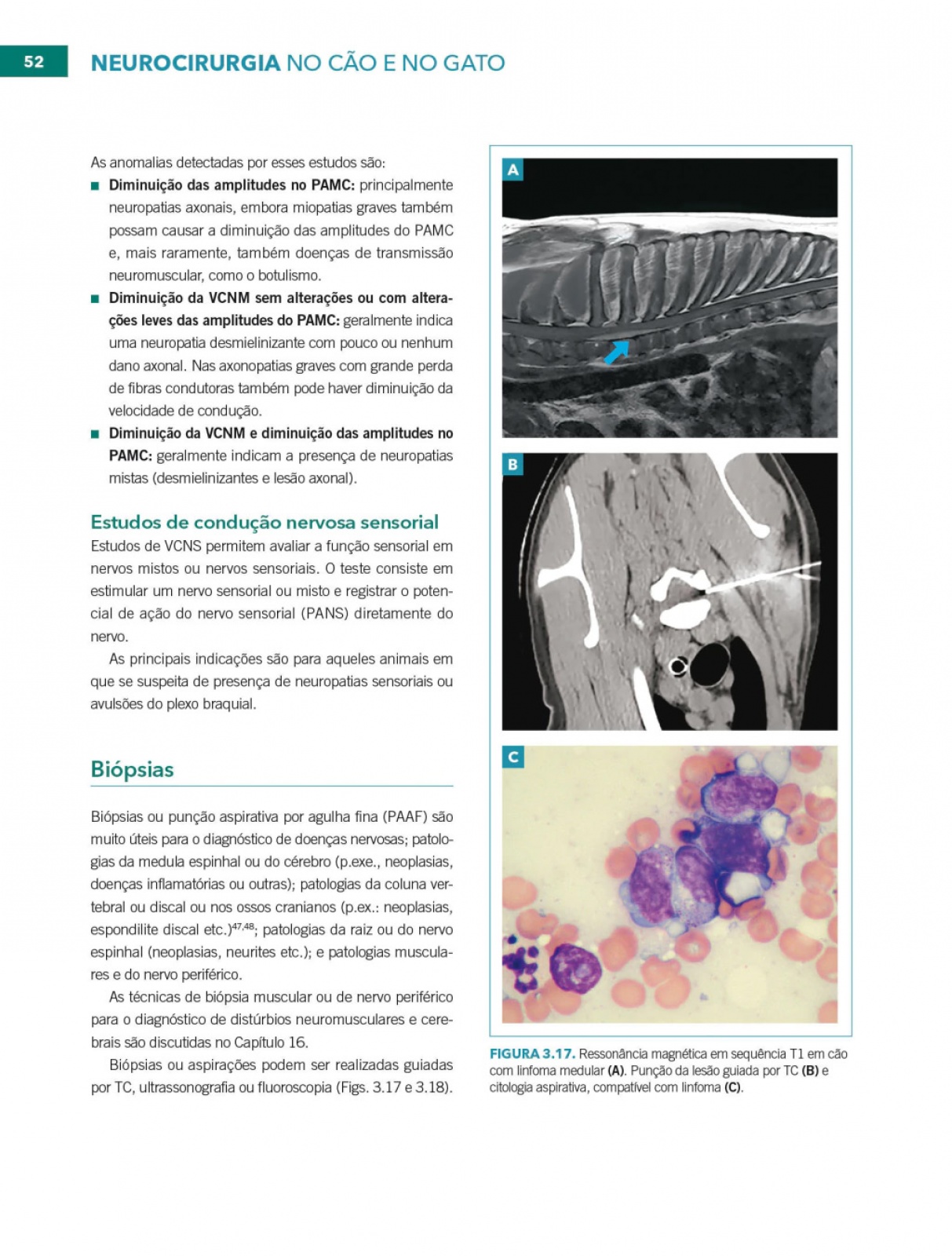 Neurocirurgia No Cão E No Gato